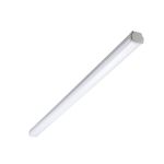 Philips LED Loisteputkivalaisimet Vedenkestävä WT060C 30W 3600lm - 865 Päivänvalo Valkoinen | 120cm