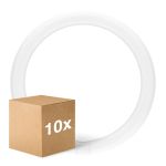 Monipakkaus 10x Ledvance LED Putki T9 Value Pyöreä (EM/Mains) 18.3W 2200lm - 840 Kylmä Valkoinen | Korvaa 32W