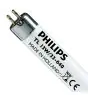 Philips T5 Short 13W - 640 Kylmä Valkoinen | 52cm