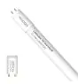 Noxion LED Putki T8 Avant (EM/Mains) Standard Output 15W 1800lm - 830 Lämmin Valkoinen | 120cm - Korvaa 36W