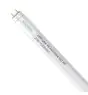 Noxion LED Putki T8 Avant Extreme (HF) High Output 20W 3100lm - 865 Päivänvalo Valkoinen | 150cm - Korvaa 58W