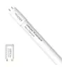 Noxion LED Putki T8 Avant (EM/Mains) Standard Output 7.5W 900lm - 840 Kylmä Valkoinen | 60cm - Korvaa 18W