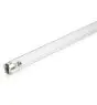 Philips T8 UV - C 55W - Ultravioletti | 90cm