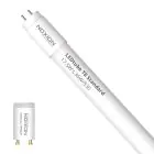 Noxion LED Putki T8 Avant (EM/Mains) Standard Output 15W 1800lm - 830 Lämmin Valkoinen | 120cm - Korvaa 36W
