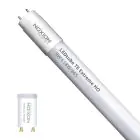 Noxion LED Putki T8 Avant Extreme (EM/Mains) High Output 8.2W 1150lm - 865 Päivänvalo Valkoinen | 60cm - Korvaa 18W